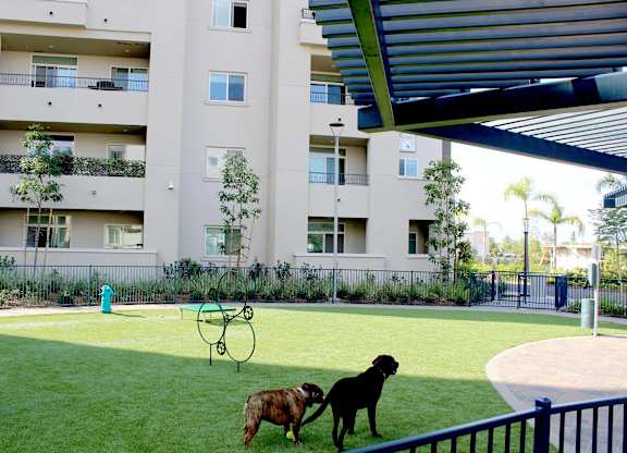 Dog park with play equipment and artificial turf at Casa Mira View Apartments, California, 92126