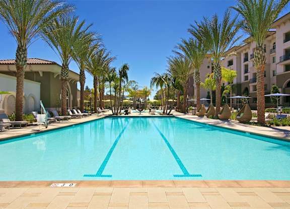 Lap pool with swim lanes and palm trees at Casa Mira View Apartments, San Diego, 92126