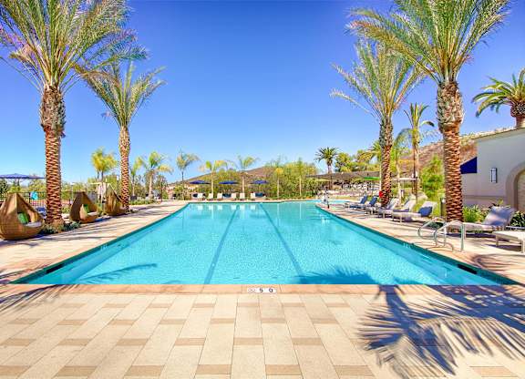 Lap pool with lane markers and palm trees at Casa Mira View Apartments, San Diego, CA