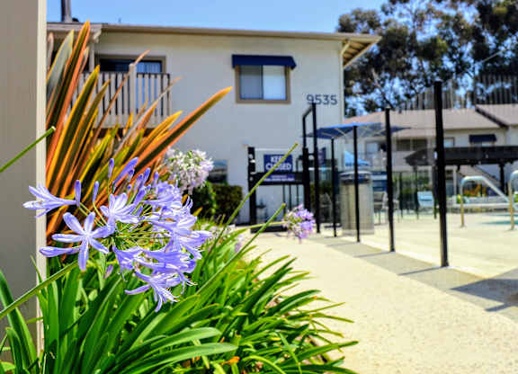 Walking Path at La Jolla Canyon Apartments, San Diego California