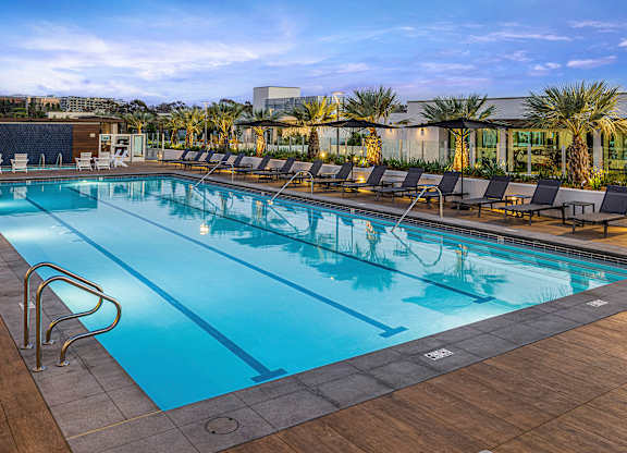 A large outdoor swimming pool with lounge chairs and palm trees in the background.