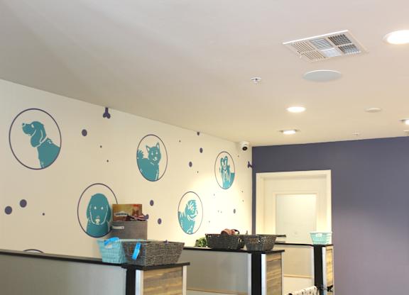Pet amenity center with wall decor and service counter at Torrey Gardens Apartments, San Diego, CA 92130