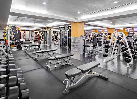 Spacious gym with free weights and benches at Costa Verde Village Apartments, California