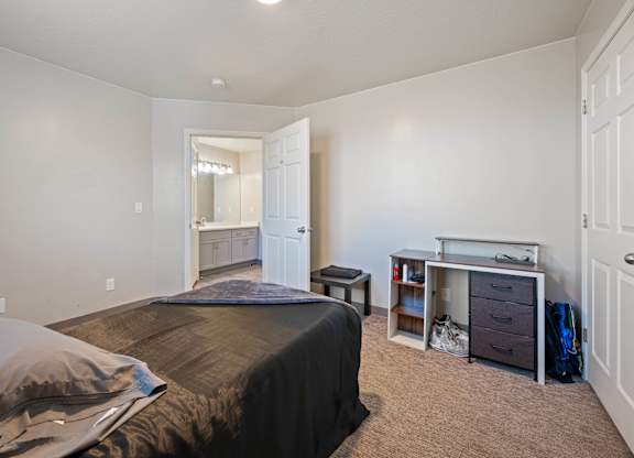 A bedroom with a bed, desk, and closet.