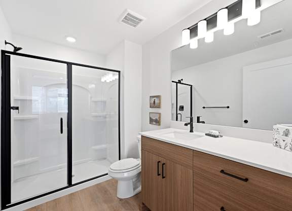 A modern bathroom with a walk-in shower and a large mirror above the sink.