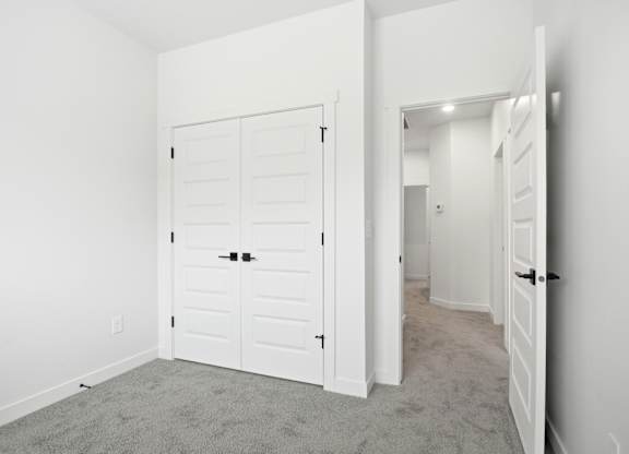 A white closet with a carpeted floor and a white door.