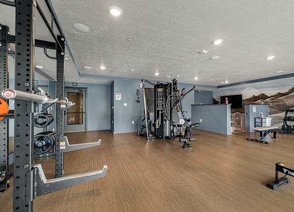 A gym with a variety of equipment including a squat rack, weight bench, and treadmill.