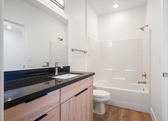 a bathroom with a sink and a toilet and a shower