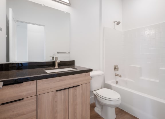 a bathroom with a sink and a toilet and a bath tub