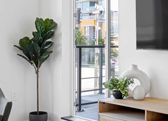 A living room with a tv on the wall and a plant in a pot.