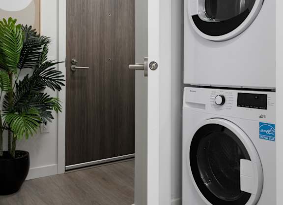 A white washing machine is in a laundry room with a door and a plant.