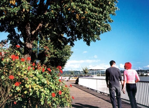 a man and a woman walking down a sidewalk next to a tree