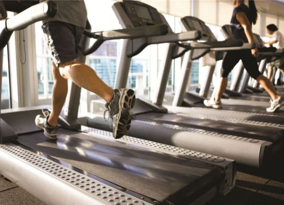 people running on treadmills in a gym