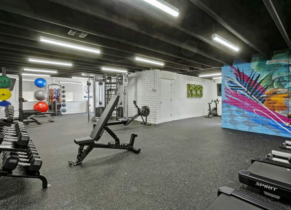 a large fitness room with weights and a wall with a mural of a bird