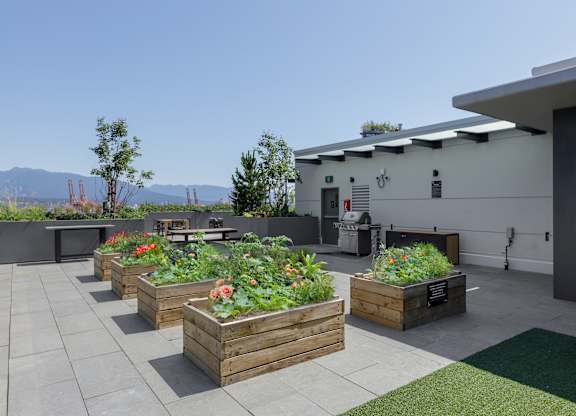 A patio with a table and chairs surrounded by wooden planters.