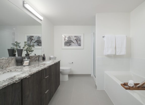 a bathroom with a tub and a sink and a toilet