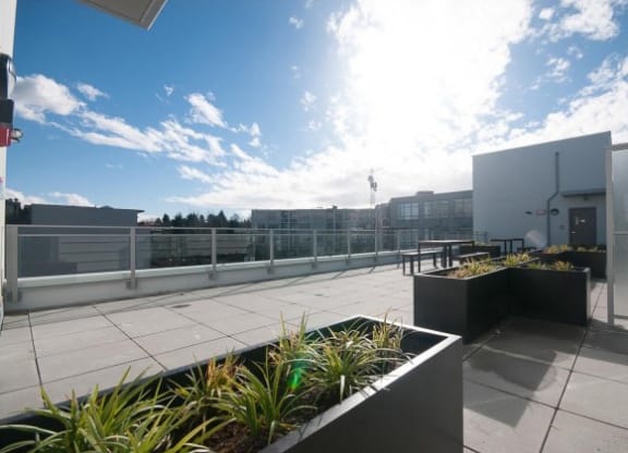 a terrace with a table and plants on a roof