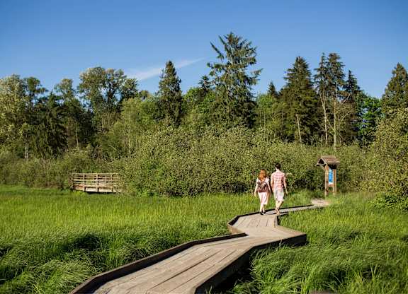 Two people walking on a wooden boardwalk through a grassy area.