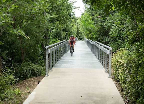 A person riding a bicycle on a bridge in a green forest.