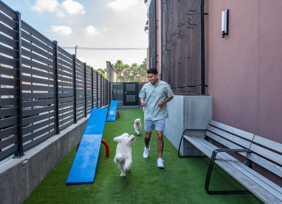dog run