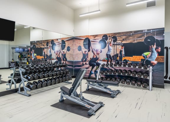 a large fitness room with weights and a mural of people working out in a gym