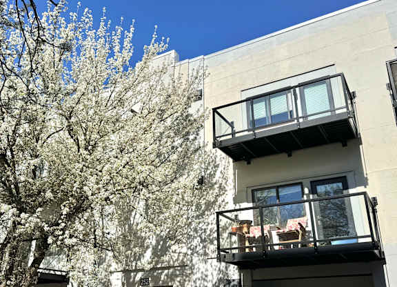A tree with white blossoms is in front of a building with a balcony at B Flats Apartments, Bremerton, 98337