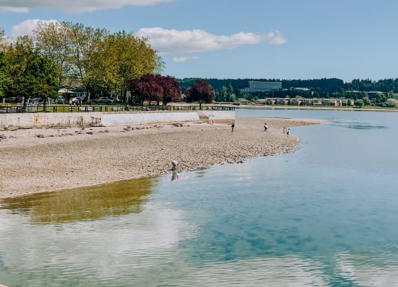 a view of a lake with a sandy beach and trees in the background at Rivulet, Silverdale, WA