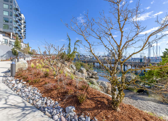 a view of a river from Marina Square Apartments with a bridge in the background and trees in the foreground at Marina Square, Bremerton, Washington 98337