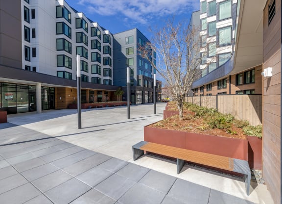 a bench with a tree in a planter in front of a building at Marina Square, Washington