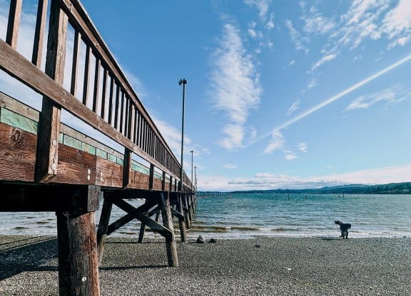 a wooden pier on a pebble beach with a dog in the distance at Rivulet, Silverdale, WA