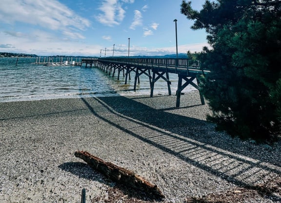 a pier on a sunny day with a tree in the foreground at Rivulet, Washington