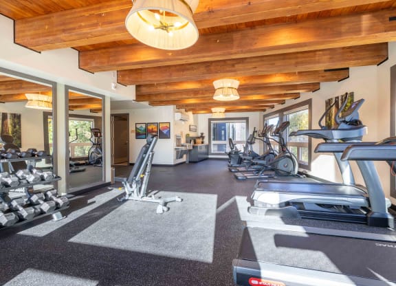 the gym has plenty of cardio equipment and windows at Rivulet, Washington