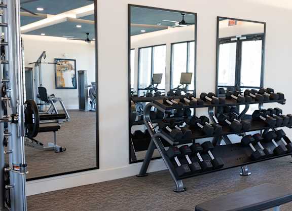 Fitness center with dumbbell rack and workout equipment at The Crest at South Point Apartments, McDonough, 30253