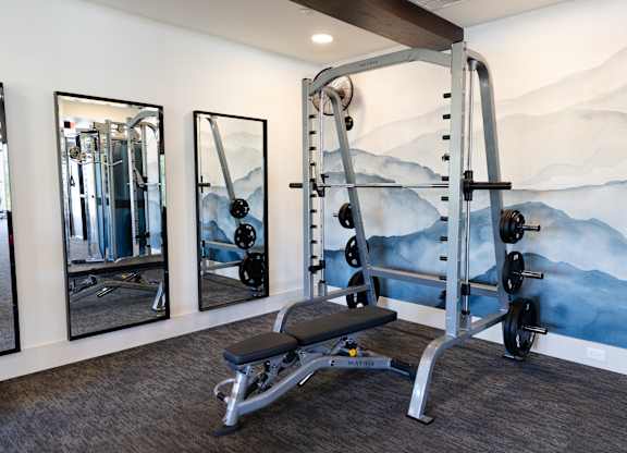 A gym with a mountain mural on the wall. at The Crest at Oakwood Apartments, Oakwood  30566