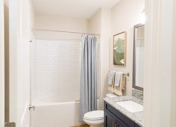 Another view of the primary bathroom showing the bathtub and vanity in a two-bedroom model apartment at The Crest at Oakwood in Oakwood, GA.
