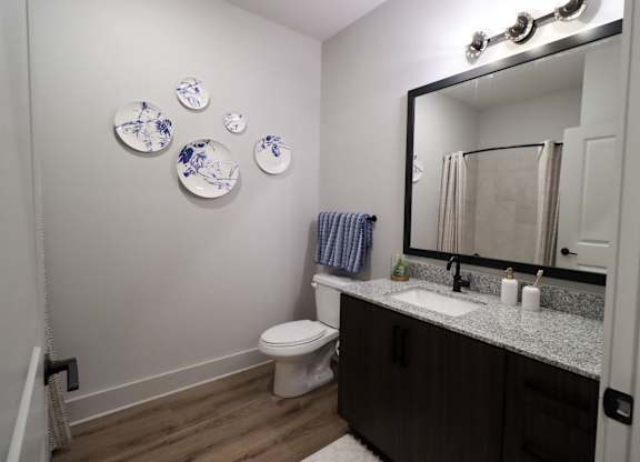 Modern bathroom with granite vanity and framed mirror at The Crest at South Point Apartments, McDonough