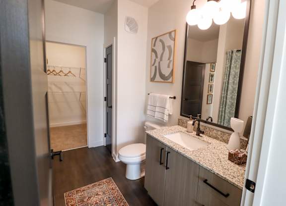 Bathroom vanity with granite counter and walk-in closet access at The Wren Apartments, Georgia