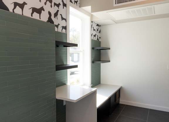 Pet care room with grooming station and shelving at The Wren Apartments, Lawrenceville, Georgia