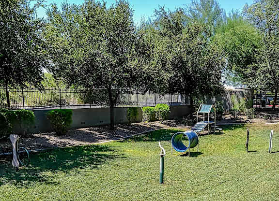 dog park at Avora apartments