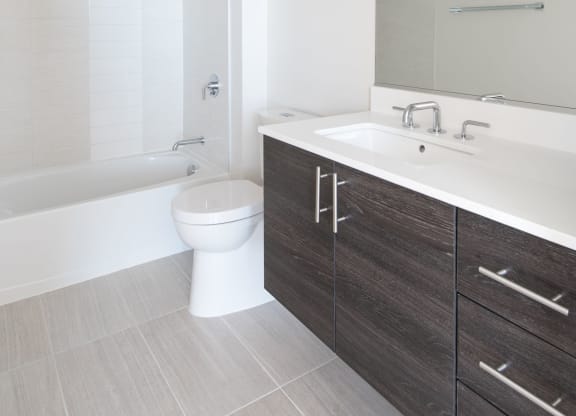 Luxurious Bathrooms at Berkshire 15, Washington, 20009