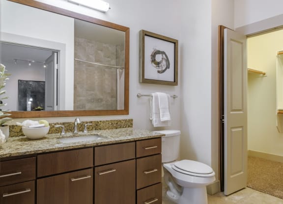 bathroom at Berkshire Medical District apartments