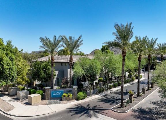 Avora apartments 20435 N 7th St., Phoenix, AZ 85024
