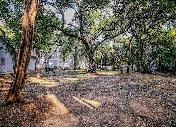 dog park at San Marin pet friendly Austin apartments