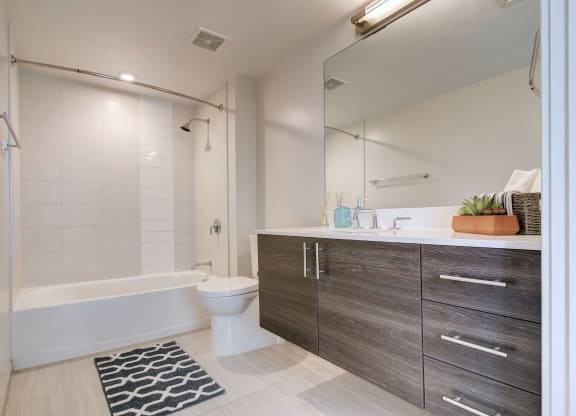 New Apartments NW Washington DC near Adams Morgan with Spa Baths-Berkshire 15 Apartments
