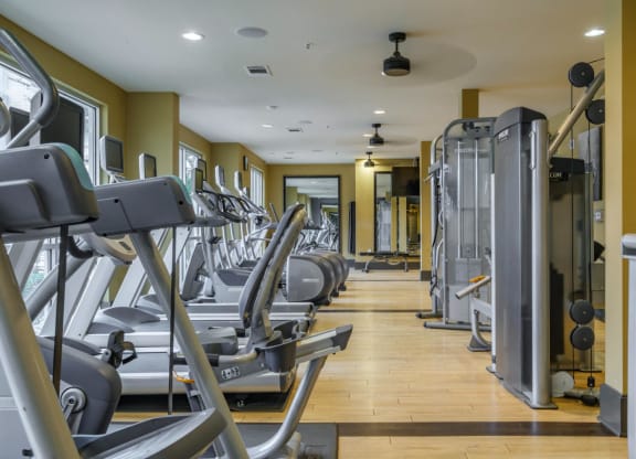 Berkshire Medical District apartments fitness center with high-impact cardio equipment