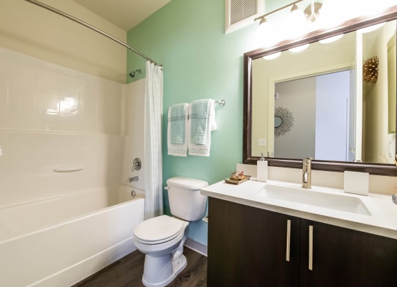 Carrick Bend apartments spacious bathroom