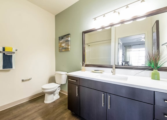 Carrick Bend apartments bathroom with designer lighting