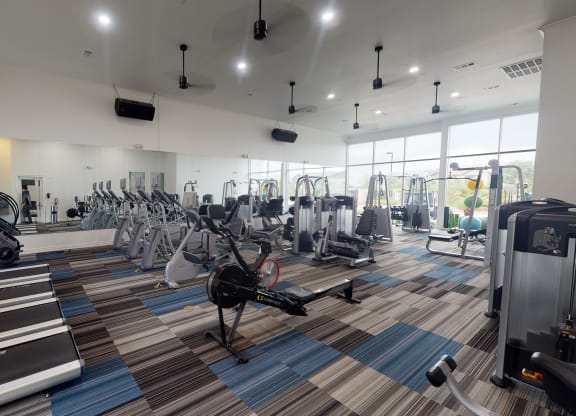 a fully equipped gym with cardio equipment and weights