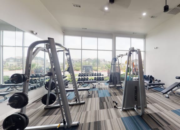 a gym with a lot of exercise equipment on the floor and a large window