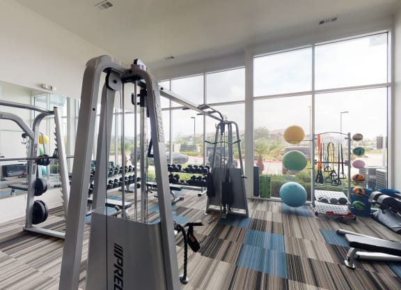 a gym with a lot of exercise equipment and large windows